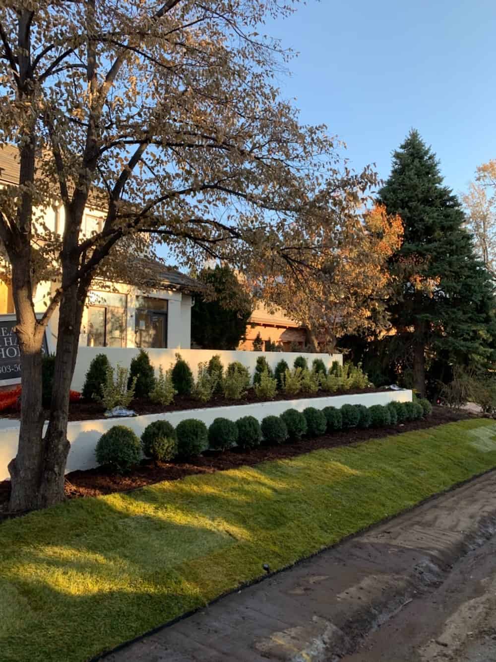 SuperTrees Colorado landscaping after photo with terraced shrubs.