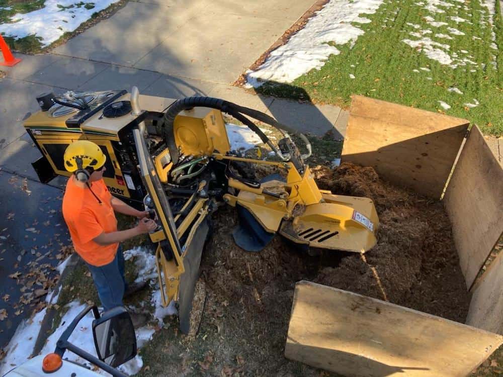 SuperTrees Colorado team using a tree grinder post tree removal.