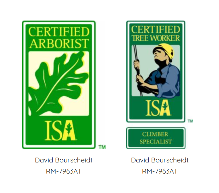 Dave Bourscheidt, SuperTrees Colorado, certifications.