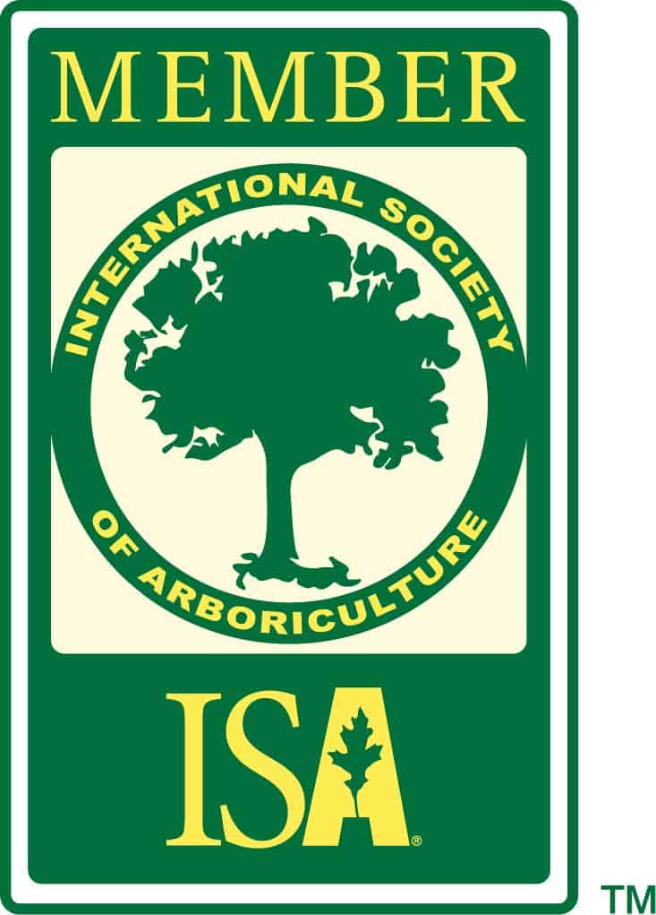 SuperTrees Services - ISA - Member