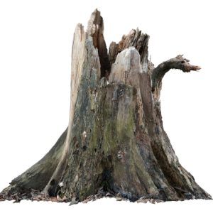 SuperTrees Utah - Tree Services - Tree and Stump Removal